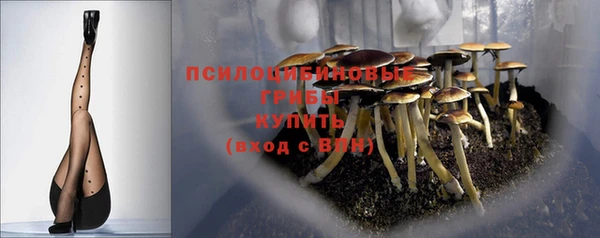 твердый Армянск