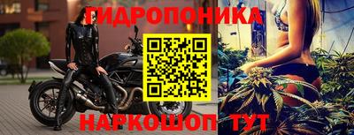 хмурый Кандалакша