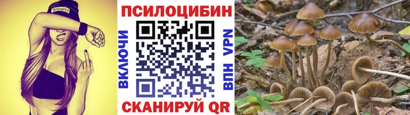 omg ONION  Мурманск  Псилоцибиновые грибы Cubensis 